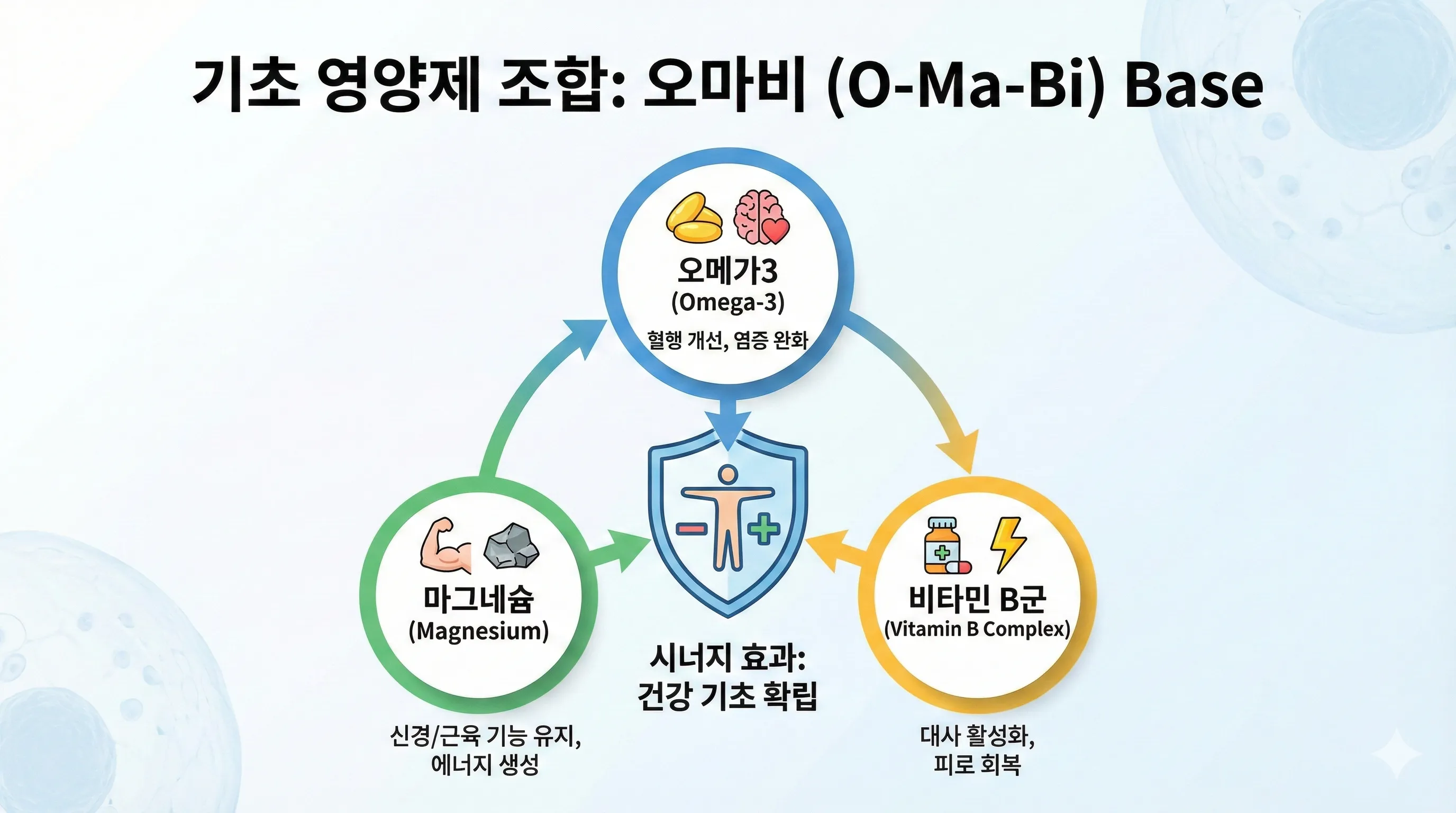 오마비 영양제 기초 조합